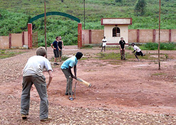 local cricket match